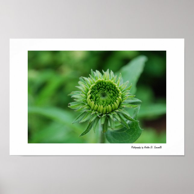 Poster Indo para o Verde (Frente)