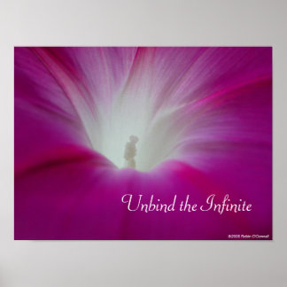Poster Infini