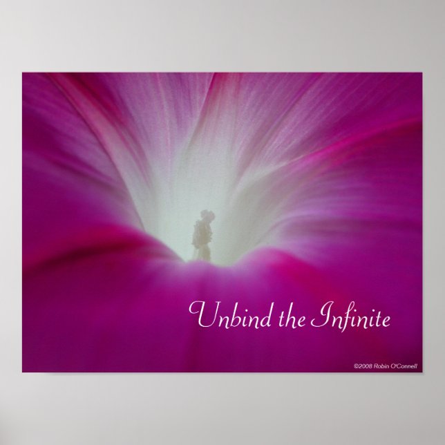 Poster Infini (Frente)
