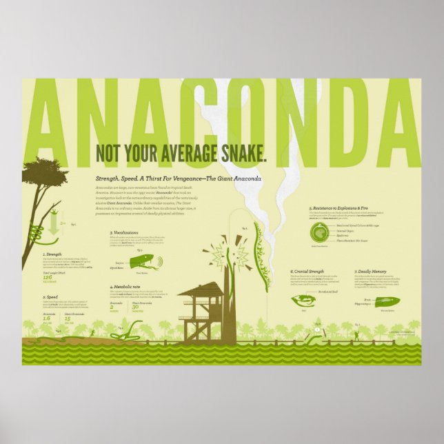 Poster Infográfico: Anaconda (Frente)