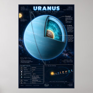 Poster Infográfico Científico de Corte Transversal de Ura