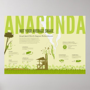 Poster Infographic: Anaconda