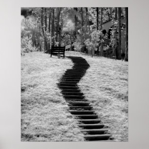 Póster Infra - vermelho de árvores edifícios e trilhas 