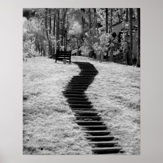 Póster Infra vermelho de árvores edifícios e trilhas em L (Frente)