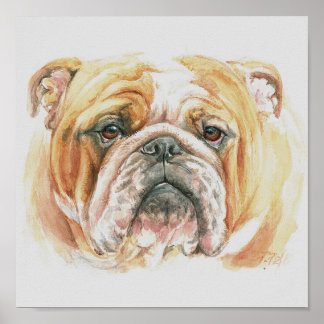 Poster Inglês Buldoface Watercolor Pinting