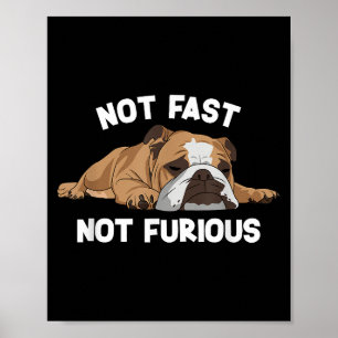 Poster Inglês Bulldog Dormindo Não Rápido Não É Fundão Fu
