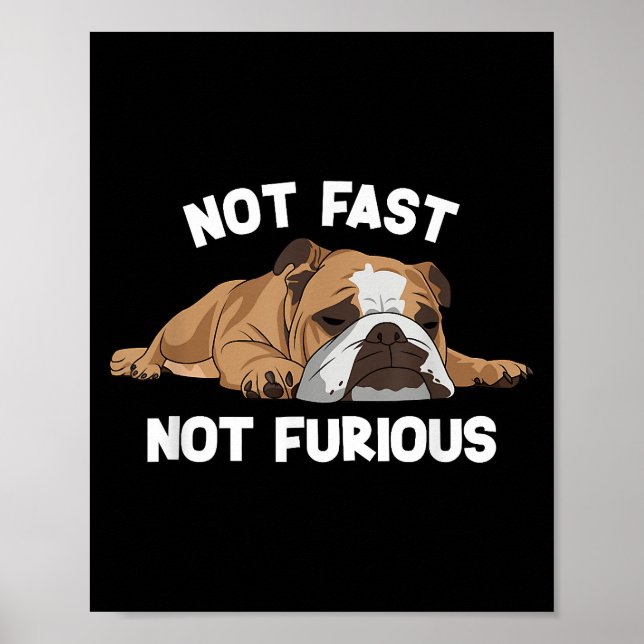 Poster Inglês Bulldog Dormindo Não Rápido Não É Fundão Fu (Frente)