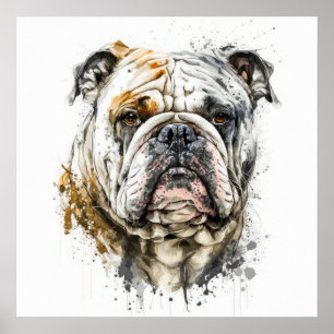 Poster Inglês Bulldog Retrato Animal Painting Willife