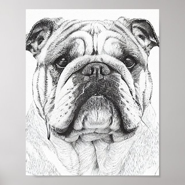 Poster Inglês Bulldog Wild Nature Animal Illustration (Frente)