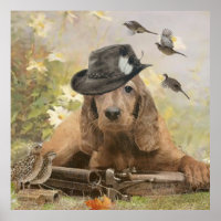 Inglês Cocker Spaniel