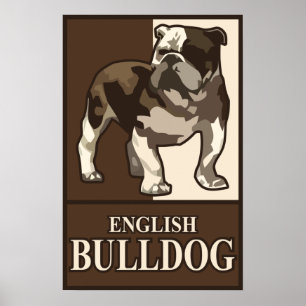 Poster inglês do buldogue