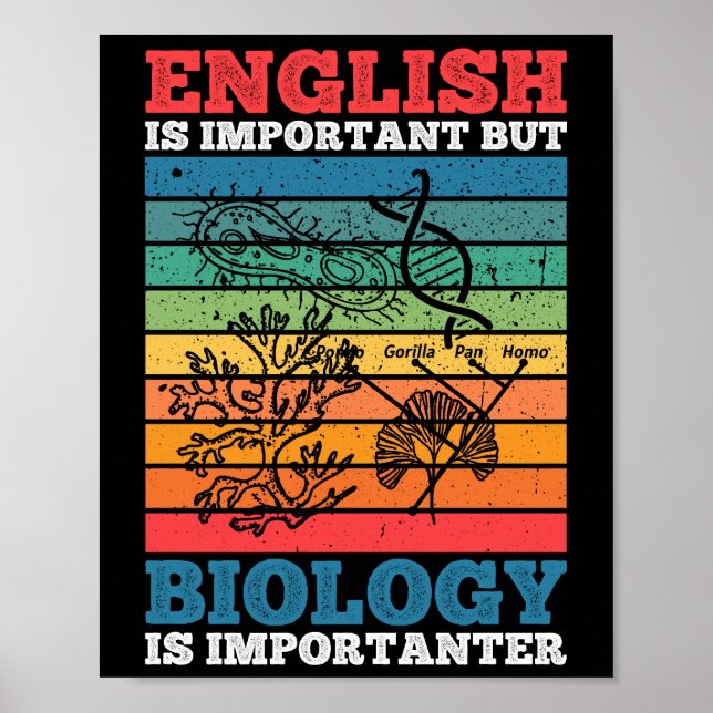 Poster Inglês É Importante, Mas Biologia É Importante (Frente)