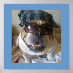 Poster inglês engraçado do buldogue