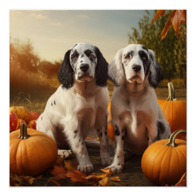 Póster Inglês Setter Puppy Autumn Delight Pumpkin (Frente)