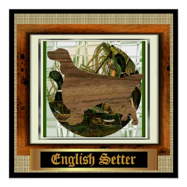 Póster Inglês Setter Sporting (Frente)