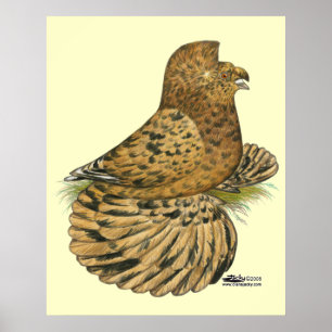 Póster Inglês Trumpeter Almond