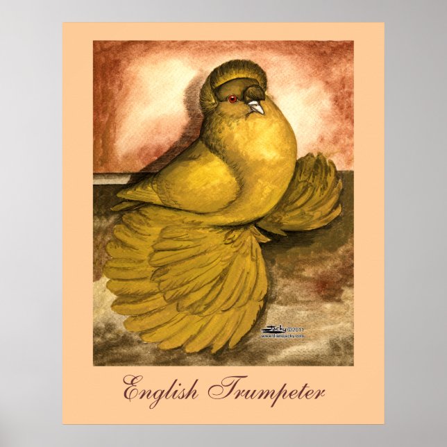 Poster Inglês Trumpeter Pigeon Yellow Self (Frente)