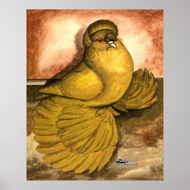 Póster Inglês Trumpeter Pigeon Yellow Self (Frente)