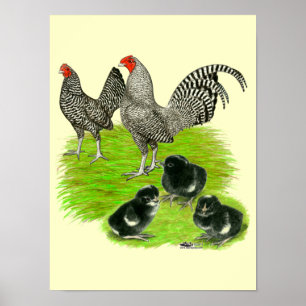 Póster Inglês velho família pequena barrada