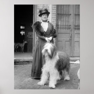 Poster Inglês velho Sheepdog, 1915