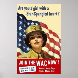 Poster Ingressar no WAC