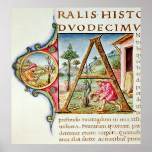 Póster Inicial "A" de Historiated que descreve