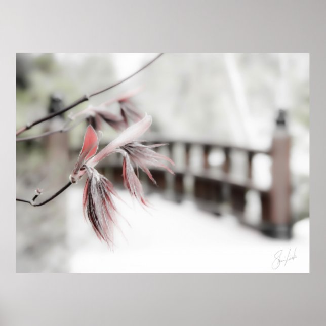 Póster Início (Frente)