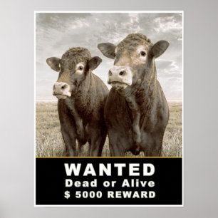 Poster $ inoperante ou vivo QUERIDO 5000 da RECOMPENSA