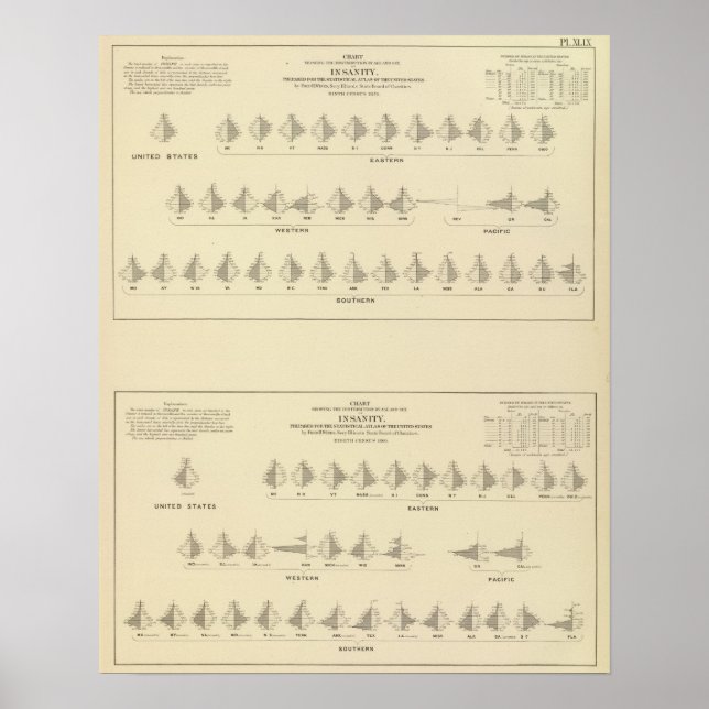 Póster Insanidade, litógrafo estatístico dos EUA (Frente)