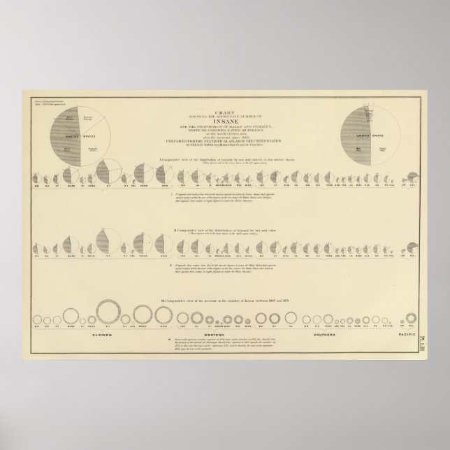 Póster Insano, litógrafo estatístico norte-americano 1870 (Frente)