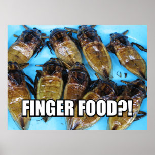 Poster Inseto De Água Gigante Frito (Maeng Daa) ... Comi