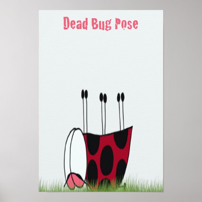 Póster Inseto de Ladybug engraçado Yoga Pose (Frente)