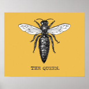 Poster Inseto do Inseto de Ilustração da Rainha Bee