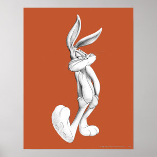 Póster INSETOS BUNNY™ Desenho 2