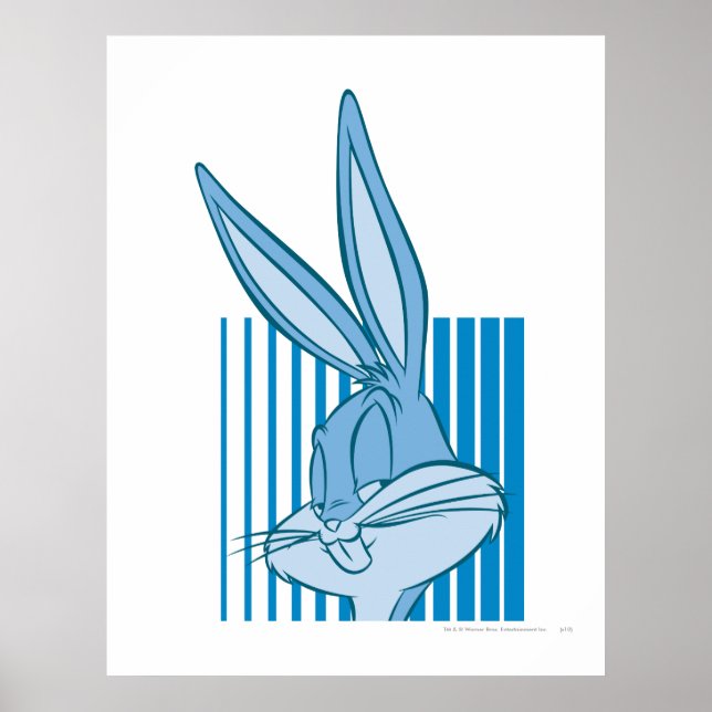 Poster INSETOS BUNNY™ Expressivo 7 (Frente)