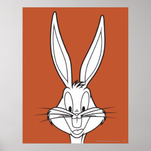 Póster INSETOS BUNNY™ Face Ssorrindo