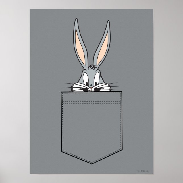 Póster INSETOS BUNNY™ Saindo Do Bolso (Frente)