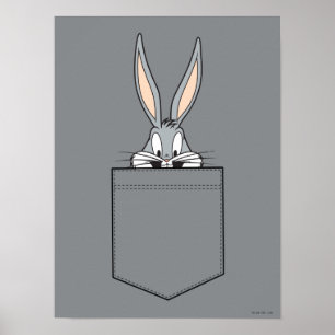 Póster INSETOS BUNNY™ saindo do soquete
