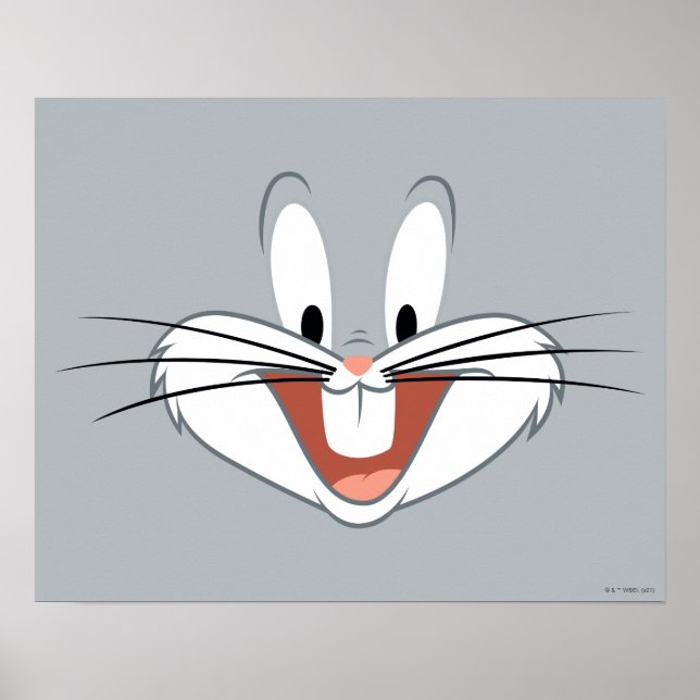 Poster INSETOS BUNNY™ Smile (Frente)
