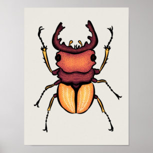 Poster Insetos de Entomologia da Arte do Besouro
