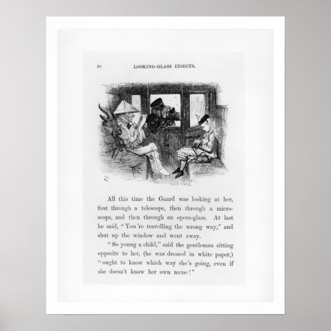 Póster Insetos de Vidro, ilustração de 'Alice Th (Frente)