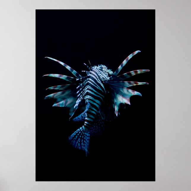 Poster Inspiração (Frente)