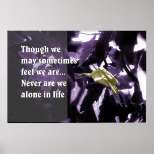 Póster Inspiração através da natureza