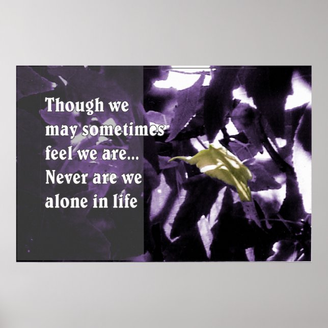 Póster Inspiração através da natureza (Frente)