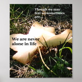 Poster Inspiração através da natureza