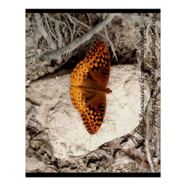 Póster Inspiração de borboleta