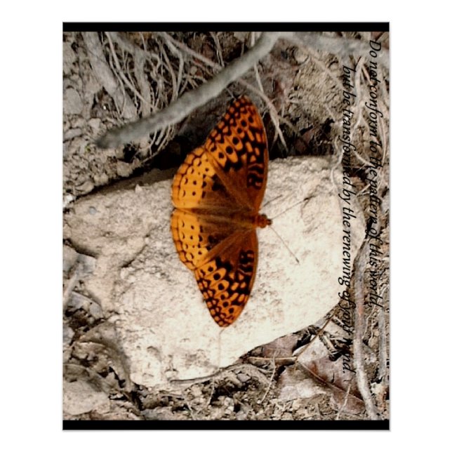 Póster Inspiração de borboleta (Frente)