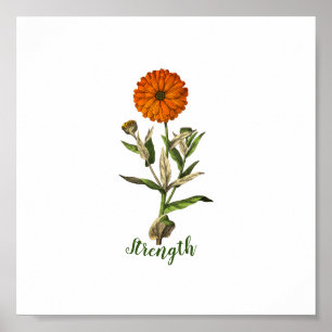 Poster Inspiração de força Marigold
