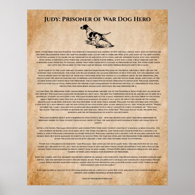 Poster Inspiração do Herói do Cachorro da Segunda Guerra  (Frente)