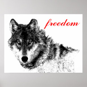 Poster Inspiração Motivacional Wolf Freedom